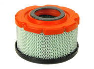 Air Filter Briggs and Stratton 797819